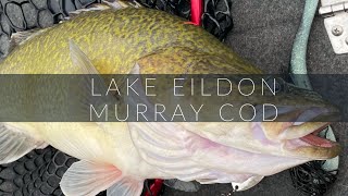 My First Murray Cod from Lake Eildon