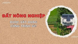 Đất nông nghiệp được xây dựng công trình gì? | Báo Lao Động