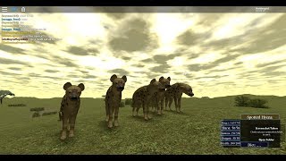 Roblox Wild Savannah Hyena Videos 9tubetv - 