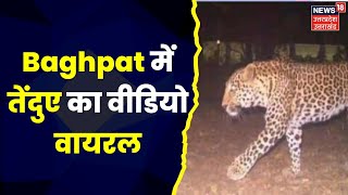 Uttar Pradesh : Baghpat  में तेंदुए की दहशत बरकरार, मंदिर की दीवार पर घूमने का Video Viral