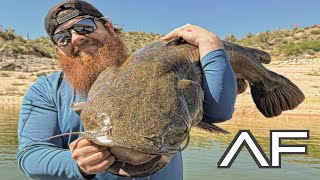 ARIZONA MONSTER FLATHEAD CATFISH!!! (Personal Best)