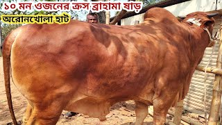 উত্তরবঙ্গের বিখ্যাত অরোনখোলা হাট আপডেট ।।পাবনা অরোনখোলা ।।২৫/০২/২০২৫