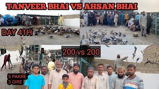 TANVEER BHAI VS AHSAN BHAI ||DAY 4||KABUTAR LARIYA||200VS200||