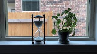 Watch Plants Grow: Dramatic Fittonia Time Lapse