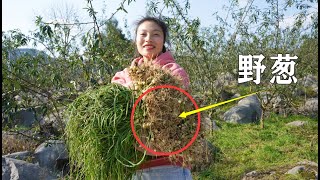 贵州大山漫山遍野都是野葱，姐姐直呼太多了，挖回家炒腊肉吃