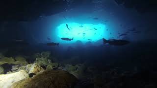 SCUBA BENNETT SPRINGS CAVERN TO THE KEY HOLE