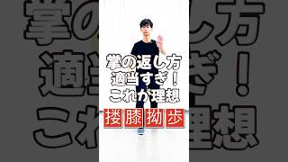 2024年12月15日｜太極拳｜24式太極拳｜武術太極拳選手権大会｜太極拳技能検定試験｜池袋、和光市、朝霞台、川越、坂戸、東松山でカンフー、太極拳やるなら太極拳スタジオ氣凛！大畑太極拳が一番！