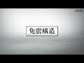 【日鉄エンジニアリング】免制震デバイス 球面すべり支承ns ssb 免震構造と耐震構造の地震時の揺れ方の比較