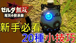 【Switch遊戲】 薩爾達無雙 災厄啟示錄 新手必看20種小技巧分享