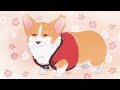 『the corgi and the samurai ～wanwan～』 akio otsuka ver. episode 16