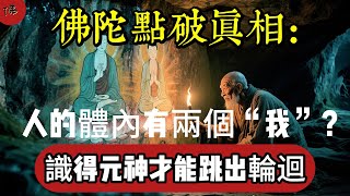 佛陀點破真相：人的體內有兩個“我”？識得元神，才能跳出輪迴|佛教 |佛學知識|修心修行|禪悟人生 |南無阿彌陀佛|養生|談佛心安