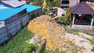 Perfectly start project!! Power dozer D20P pour soil delete pond to resize land with dump truck 5TON