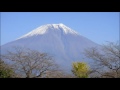 「高山音頭」　岐阜県民謡　cover 清紅