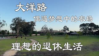 澳洲行Trip to Australia 10: 大洋路偶遇理想中的退休农场，又意外看到上百只袋鼠在野外奔跑的壮观场景…