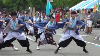 蜷川乱舞桜　よさこい滑川 in ふるさと龍宮まつり２０１６