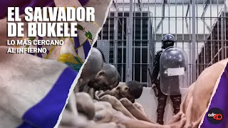 “La cárcel es lo más cercano al infierno” así se vive tras las rejas en #ElSalvadorDeBukele
