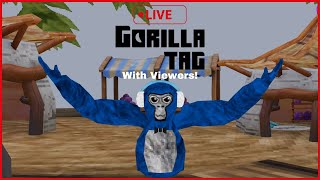 Gorilla Tag Live w/ Viewers!