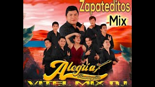 ALEGRIA HUARINGEÑA Y MAS ZAPATEADITOS MIXXX 2023 EXITOS