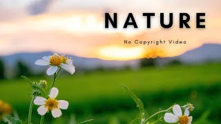 Beautiful Nature | Landscape | Background Video | No Copyright