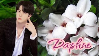 Daphne (final)#bts妄想 #ジン妄想