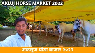 Akluj horse market ! अकलूज घोडा बाजार  #akluj #horse #horsemarket #2022