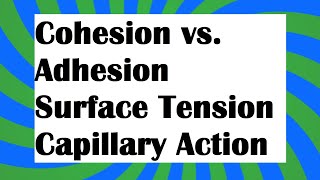 Cohesion vs adhesion