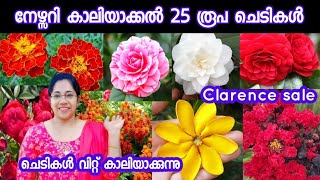 💢ചെടികൾ വിറ്റ് കാലിയാക്കുന്നു/25 രൂപ മുതൽ ചെടികൾ/Low coast plants sale/Jasmin's world /Clarence sale