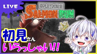 【参加型/初見歓迎】ビッグランみんなで頑張ろう！【スプラトゥーン3/雑談/サーモンラン/クマサン/新人Vtuber/配信/ライブ/りはくん】