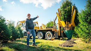 Moving 500 Trees In One Year | The Process | Big John 65\