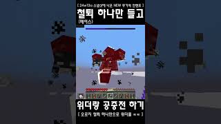 철퇴 하나만 들고 위더랑 공중전 맞다이 #마인크래프트 #minecraft #스냅샷