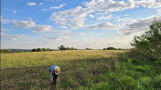 ®FAZENDA 77,44 HECTARES PASTO RESERVA RIO ÁREA PARA PLANTIO-Código-2439- RECORDAÇÕES SERGIO HENRIQUE