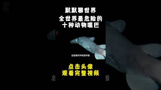 全世界最危險的10個動物嘴巴，食人魚只能排第六！第一名擁有20000顆牙齒，輕鬆粉碎大鯊魚！#野生动物 #animals #科普 #涨知识