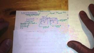 Ecological Networks Tutorial - Nestedness