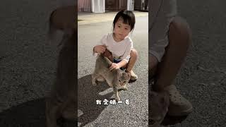 对流浪动物太过动情，好难受… 人类幼崽治愈系宝宝 宝宝日常vlog 永远会被萌娃的笑容治愈 vlog日常 猫