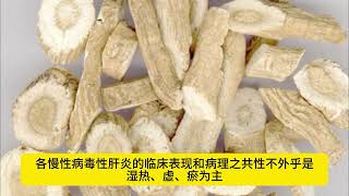 中药应用精讲 板蓝根