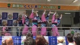 2016/5/15神戸楠公連　神戸まつり（トラック舞台）