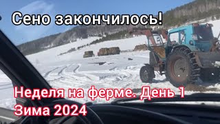 Сено ЗАКОНЧИЛСЯ! Среда - день первый! (Неделя на Ферме Мечты  ю - Зима 2024)