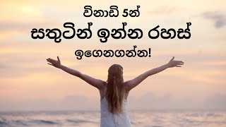 සතුට වැඩිකරන විද්‍යාත්මක රහස් - විනාඩි 5න් වඩාත් ප්‍රීතිමත් දිවියක් - Secrets to a happier life