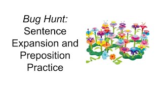 Bug Hunt: Sentence Expansion and Preposition Practice