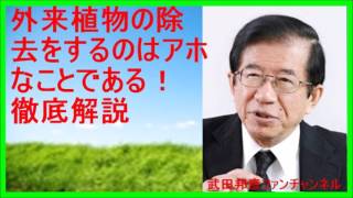 【武田邦彦 ブログ 最新】外来植物の除去をするのはアホなことである！徹底解説【武田教授 youtube】