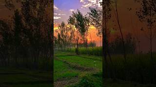 Sunset view at Peshawar City #nature #love #peshawarkpk