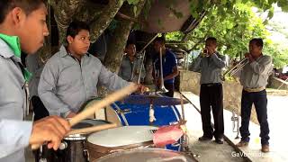 Cumbias con Banda de Viento - La Abeja Miope y El Coco Rayado