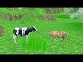 ఆవు మరియు పులి నీతి కధ cow and tiger telugu moral story moralstories story telugu stories