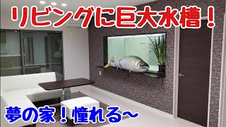 【お宅訪問】2.4m水槽がリビングから見える平屋！アクアルームにも潜入！