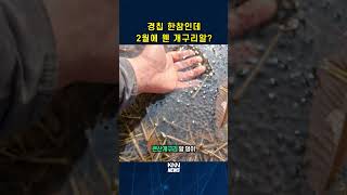 경남 창원 2월 개구리 울음소리#shorts