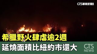 希臘野火肆虐逾2週　延燒面積比紐約市還大｜華視新聞 20230904