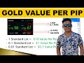 Gold Value Per Pip - How much dollar per pip in Standard and Micro Account?