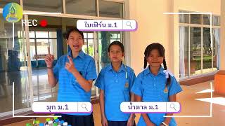 STEM Education น้ำยาล้างจานชีววิถี : โรงเรียนบ้านยางน้อย(พรหมพิทยา)