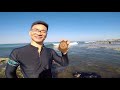 这就是吃野生鲍鱼的结果！！！jason 在澳大利亚perth体验抓野生鲍鱼，遍地都是 wild abalone catch in perth