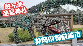 桜ヶ池 池宮神社 龍神伝説や遠州七不思議 パワースポット Sakuragaike, Ikemiya Shrine in Japan　静岡県御前崎市